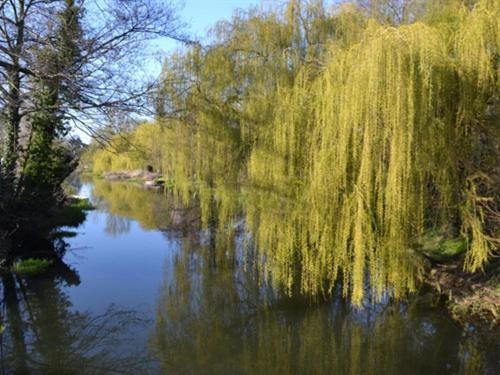 Bridge House B&B Coltishall Exteriör bild